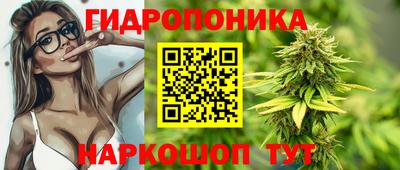 стафф Гусев
