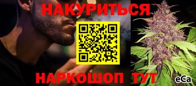 стафф Гусев