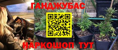 трава Гусиноозёрск