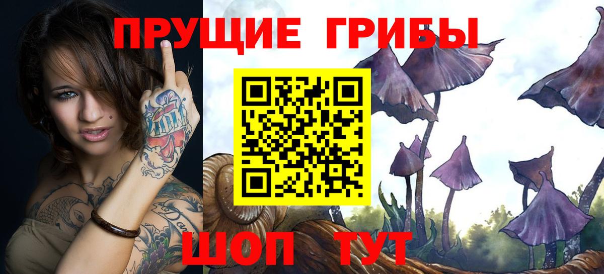 Галлюциногенные грибы Cubensis  Вход с VPN  Можайск 