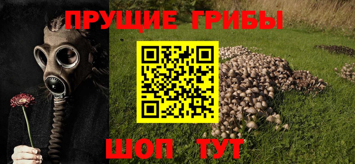 Конопля Можайск